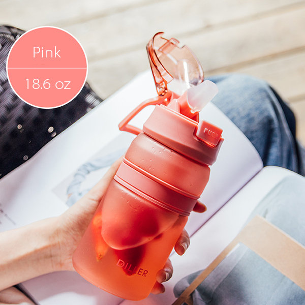 Diller Thermal Water Bottle - 10 oz Mini Insulated Stainless Steel Bottle, Leakproof Cute Vacuum Flask, Perfect for Purse or Kids Lunch Bag, 12