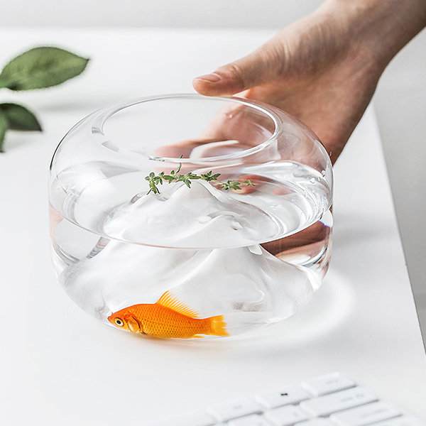 Glass Fish Bowl With Mountain Feature from Apollo Box