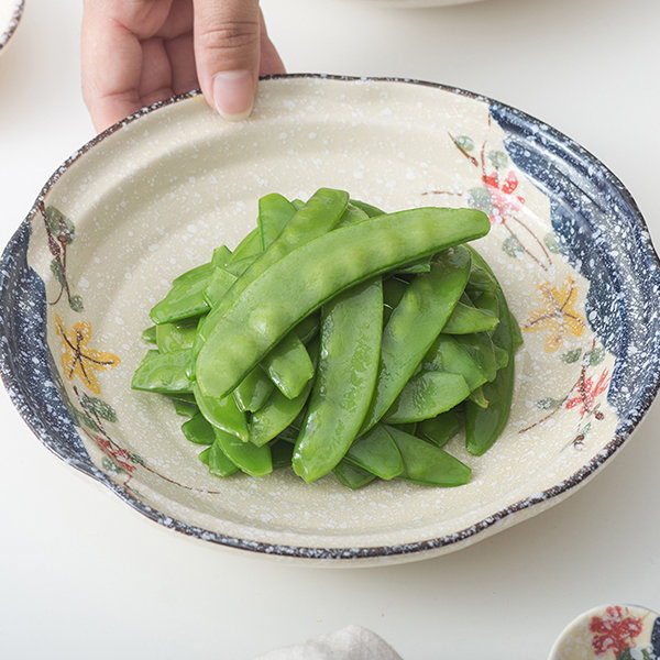 Japanese-Inspired Retro Ceramic Tableware - ApolloBox