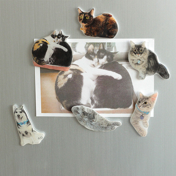 Custom 3D Fridge Magnet 4x6 Photo Gift fridge magnet Cutout of your Dog,  Cat, Minimalist 3D Child Photo cut out fridge Photo Gift