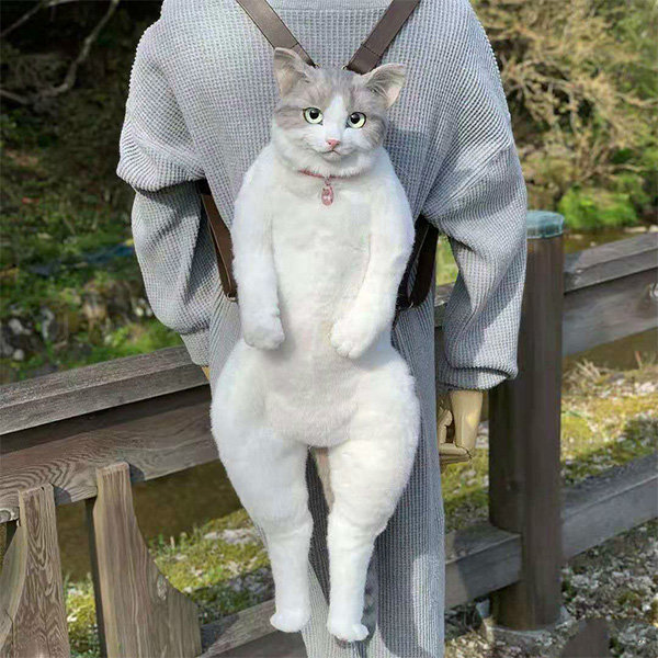 Cat 2025 with backpack