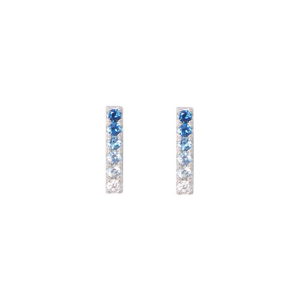 Blue Ombre Earrings - ApolloBox