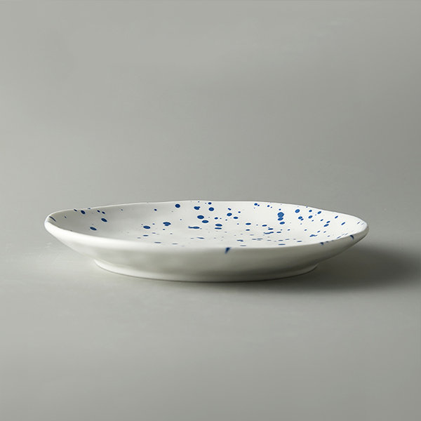 porcelain splatter paint plate irregular ceramic