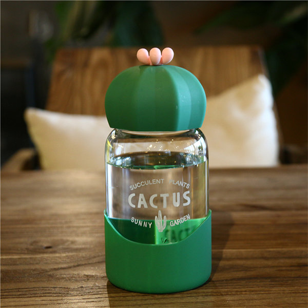 Cactus Water Bottle from Apollo Box