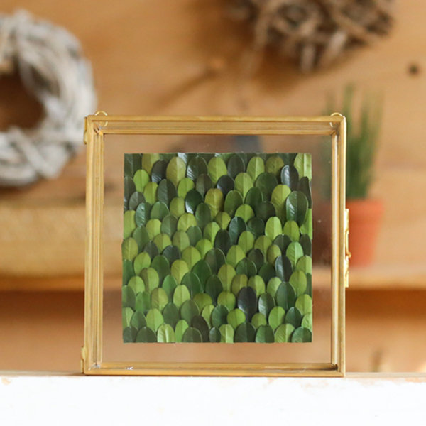 Framed Plant Display - ApolloBox