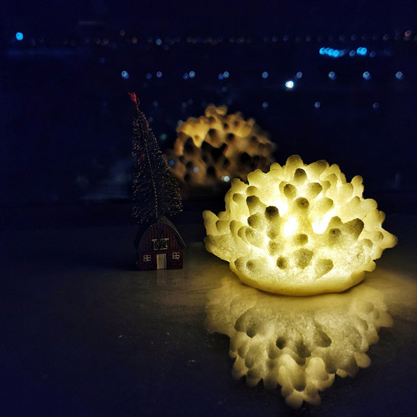 Sandstone Coral Inspired Night Light