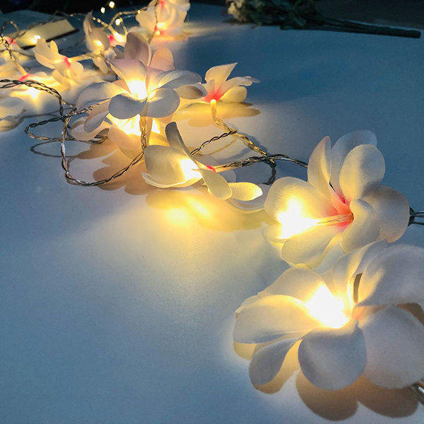 Pearl String Lights - Warm White - 3 Length Options - Battery Powered -  Plug-In - ApolloBox