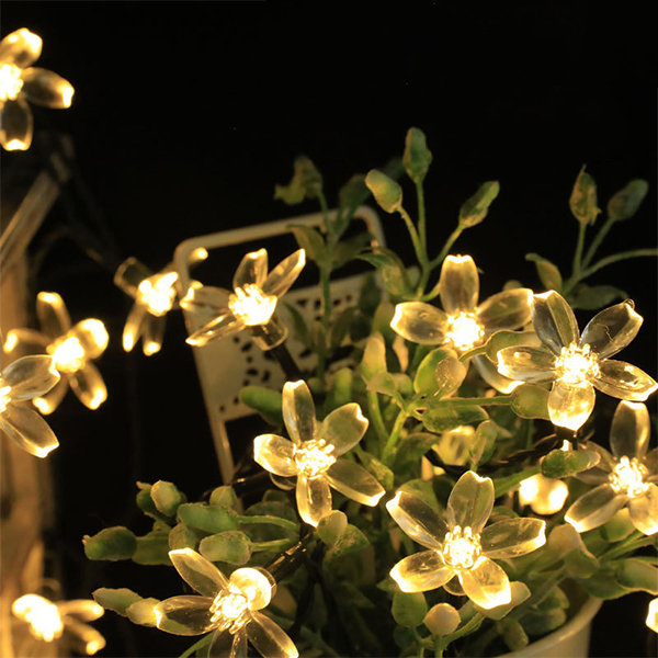 Floral Garden String Lights - ApolloBox