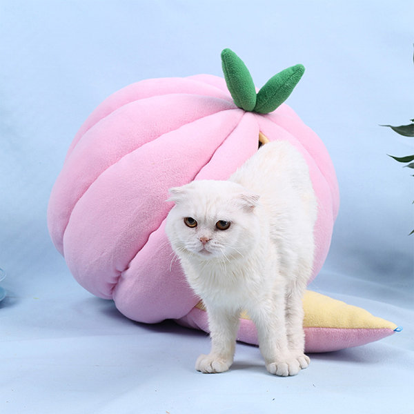 Peach cat bed best sale