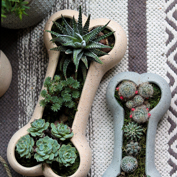 Resin Shoe-Shaped Planters from Apollo Box