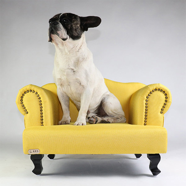 Modern Sofa For Pets ApolloBox   EVq5fArray 13 