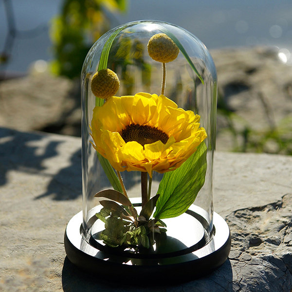 Elegance sunflower humidifier