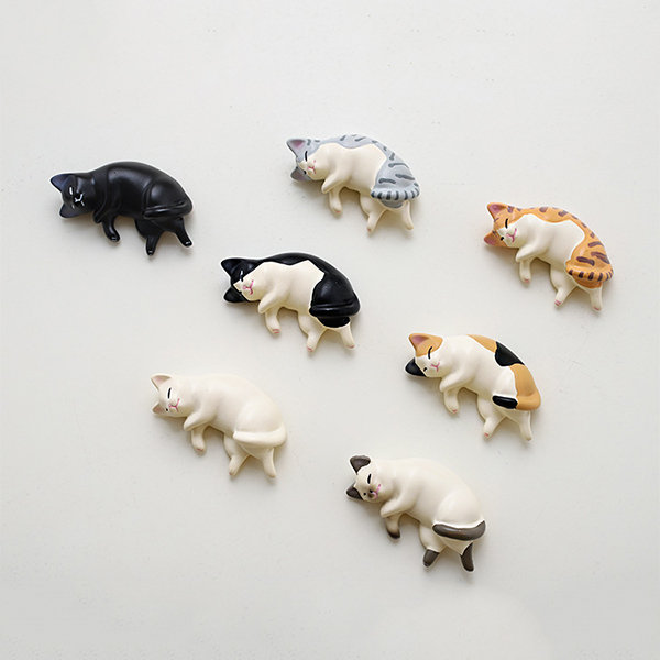 Mini magnets multicolores (x18) CAT