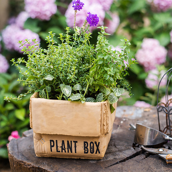 Cardboard Box Inspired Planter ApolloBox