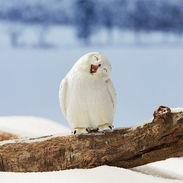 Cute Snowy Owl | ubicaciondepersonas.cdmx.gob.mx