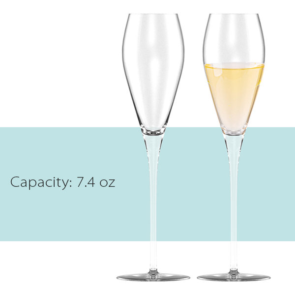 Modern Champagne Glass - Crystal Glass - Safe for Dishwasher from Apollo Box