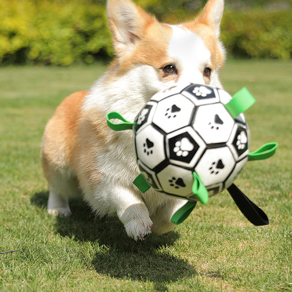 Pet Football Toy - TPU - Durable - 2 Sizes Available
