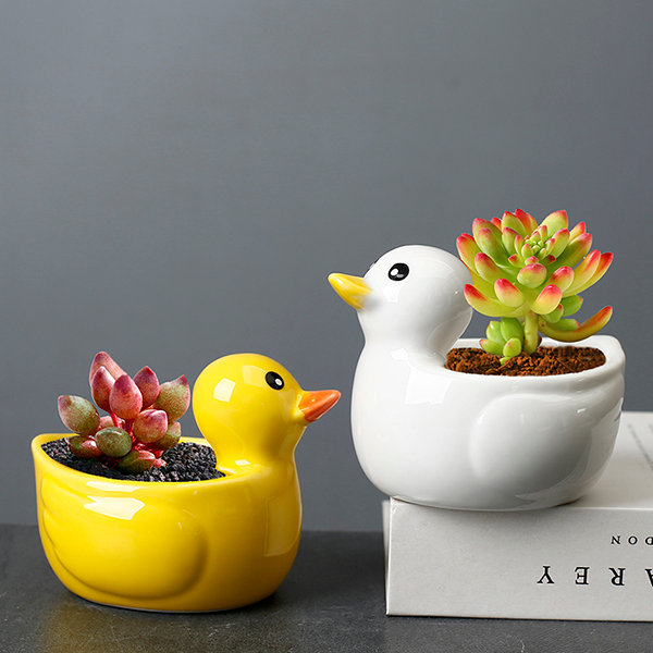 Darling Duck Planter - 2 Colors - Great For Succulents