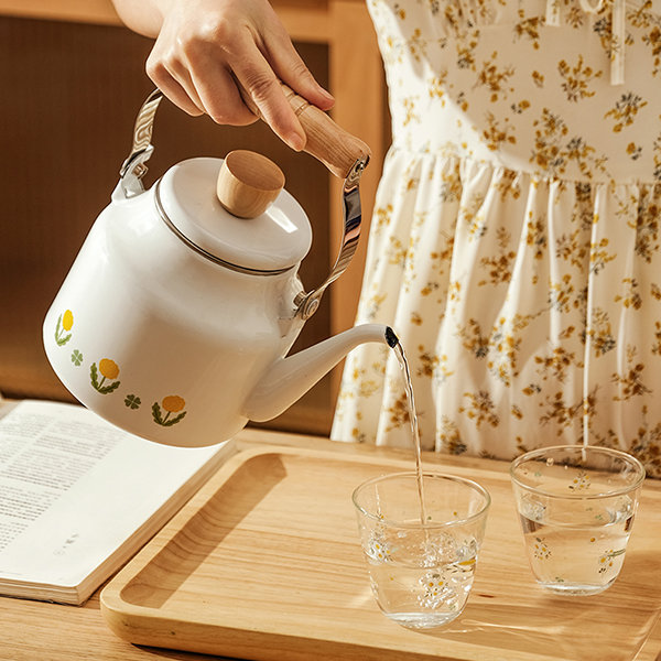 Elegant Tea Kettle And Stove from Apollo Box