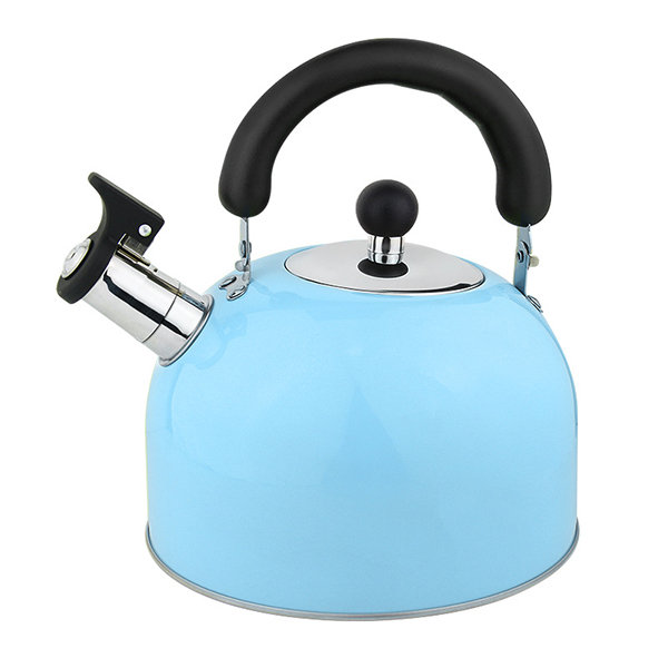 Induction Cooker Whistling Kettle from Apollo Box