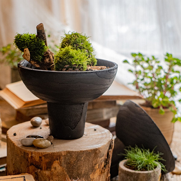 Black Wabi Sabi Flower Pot - Wood - 2 Sizes Available - ApolloBox
