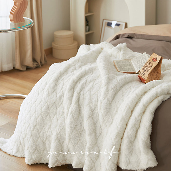 Hometrends Luxury Plush Blanket, Queen White W/100% Polyester