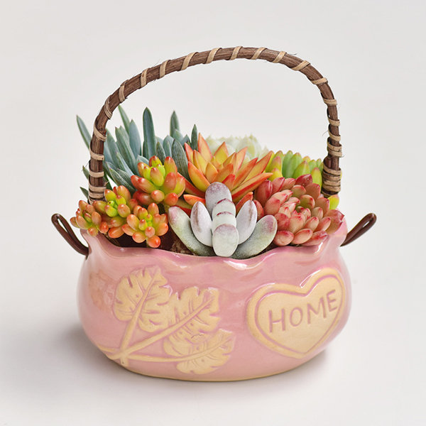 Mini Basket Ceramic Planter - For Succulents - 2 Colors