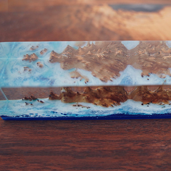 Ocean And Reef Paperweight Resin Wood Handmade Apollobox