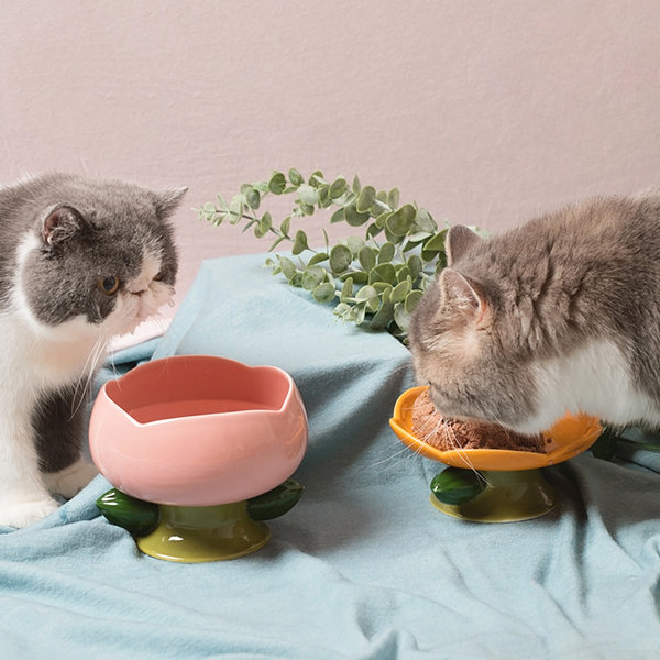 Small Cat Bowls Small Dog Bowls Teacup Pet Bowls Cute Pet Bowls