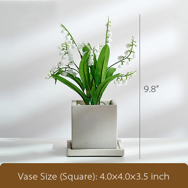 Artificial Convallaria - With Vase - Cement - Oval - Square