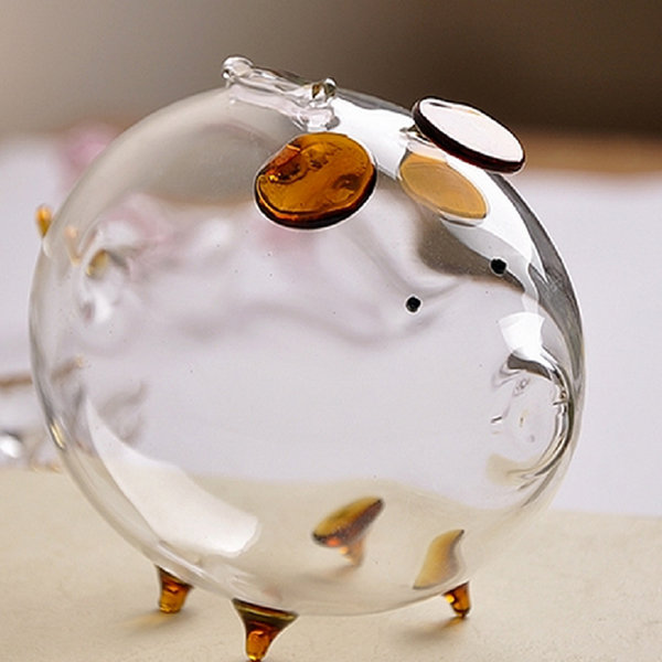 Transparent Piggy Bank - Glass - Saving Money - ApolloBox