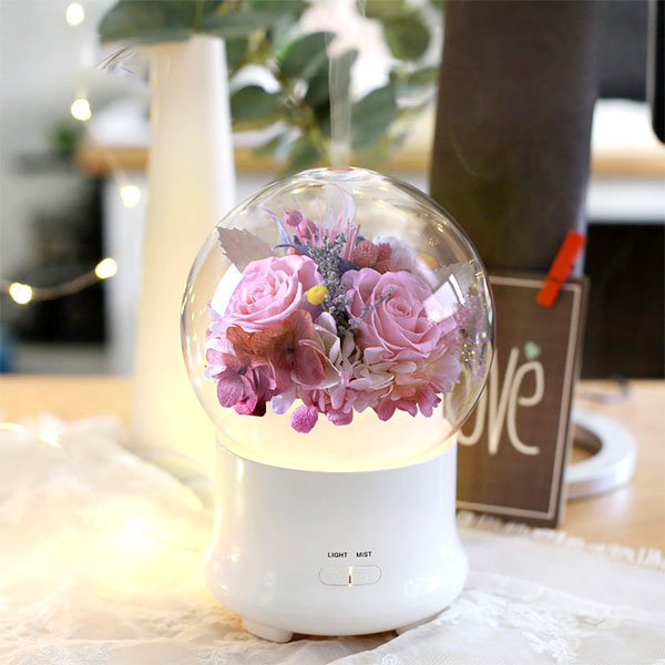 Preserved Flower Humidifier - Roses - Purple - Red - 5 Colors - ApolloBox