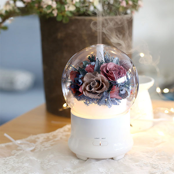 Preserved Flower Humidifier - Roses - Purple - Red - 5 Colors - ApolloBox