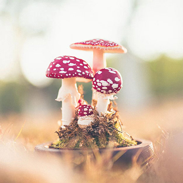 Colleen Deiss Designs — Mushroom Garden Mug