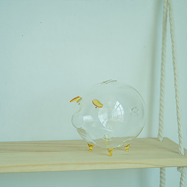 Transparent Piggy Bank - Glass - Saving Money - ApolloBox