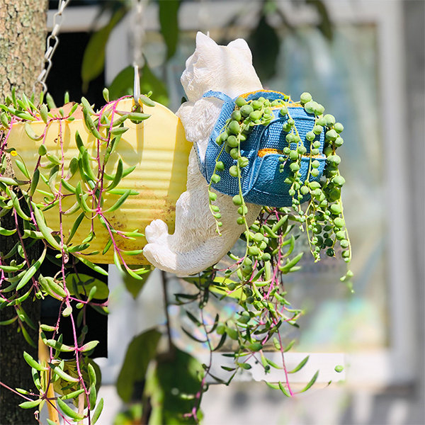 DIY Tea cup Planter and String of Pearls