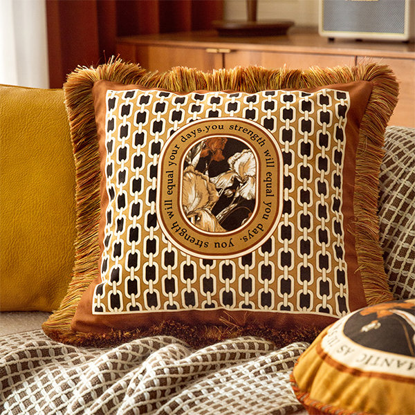 Versace on sale pillow case