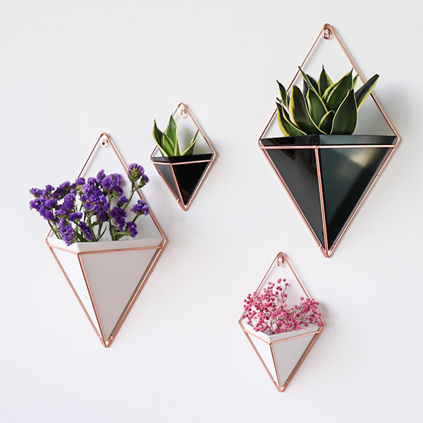 Hanging Wall Flower Pot - ApolloBox