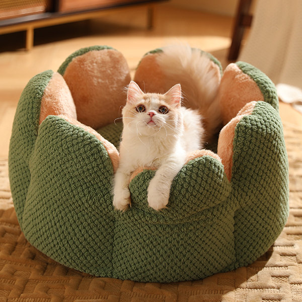 Tea Cup Inspired Pet Bed - Polyester - Your Pet's New Favorite Spot -  ApolloBox