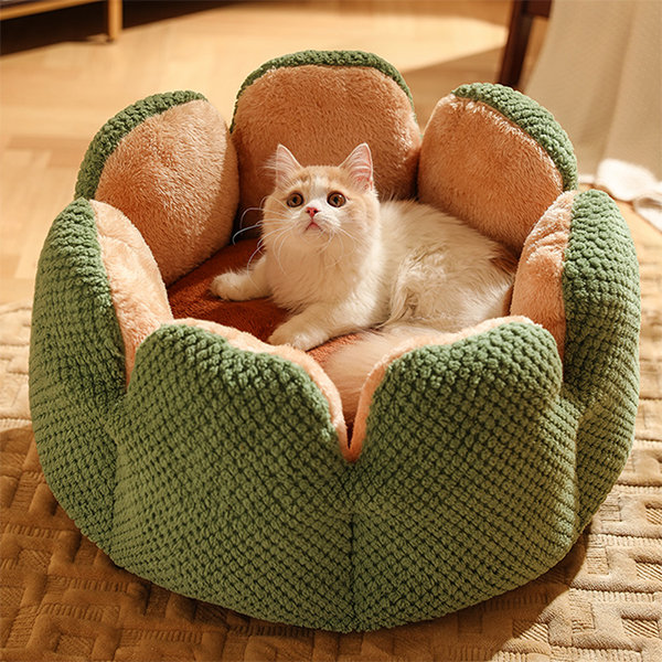 Tea Cup Inspired Pet Bed - Polyester - Your Pet's New Favorite Spot -  ApolloBox