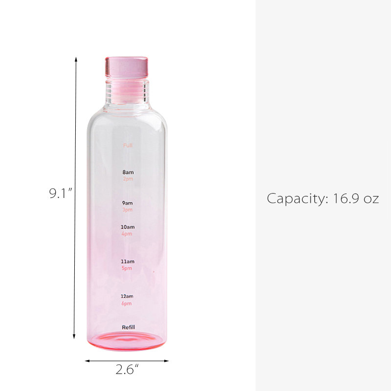 Pink Glass Water bottle