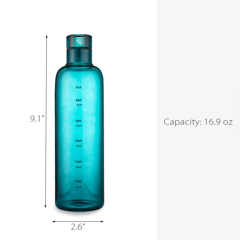 Water Bottle - 16.9oz Capacity - Glass - Pink - Green - 8 Colors - ApolloBox