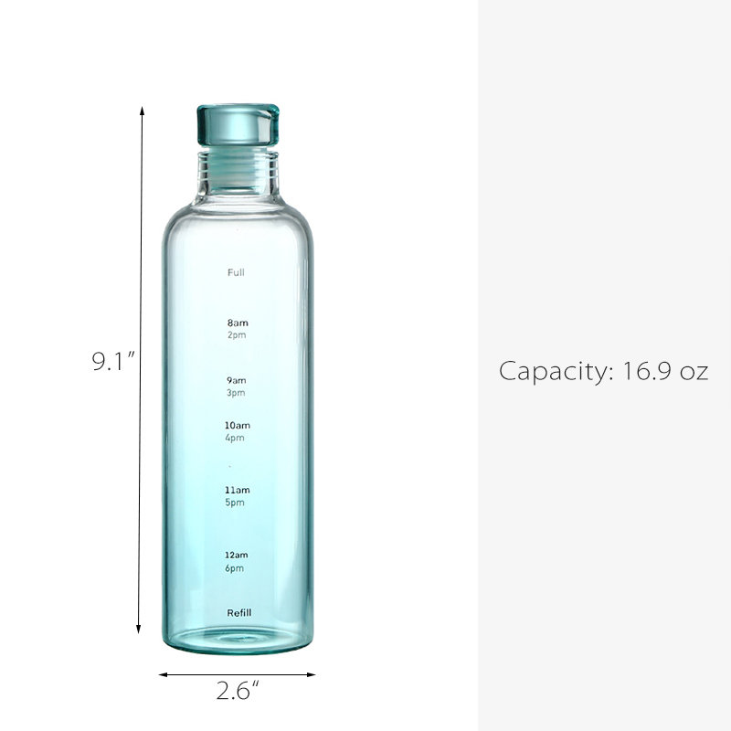 Glass Water Bottle - 16oz  Glass water bottle, Water bottle, Bottle