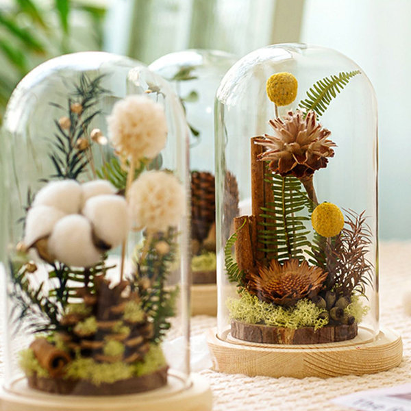 Preserved Flower Glass Dome - Pine Cone - Acorn