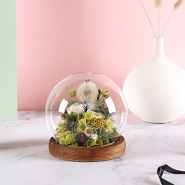 Dandelion Decorative Dome - Natural Touch - Great Gift Idea - ApolloBox