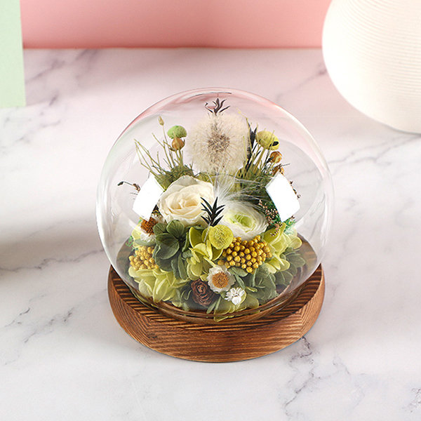 Dandelion Decorative Dome - Natural Touch - Great Gift Idea - ApolloBox