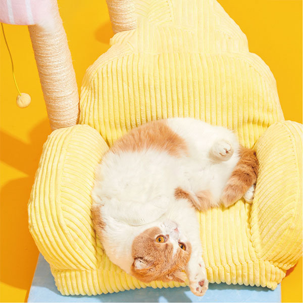 Sofa Shaped Cat Bed - Plush - Pink - Yellow - 4 Colors - ApolloBox