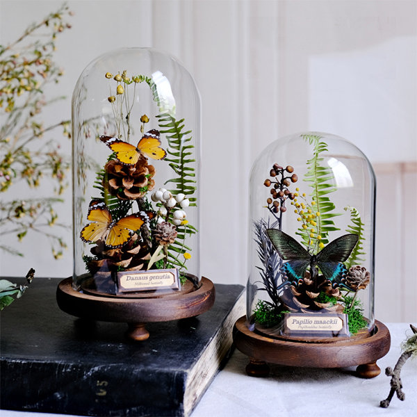 Dried Flower Specimen Decorative Frame - Wood - Intricate Design