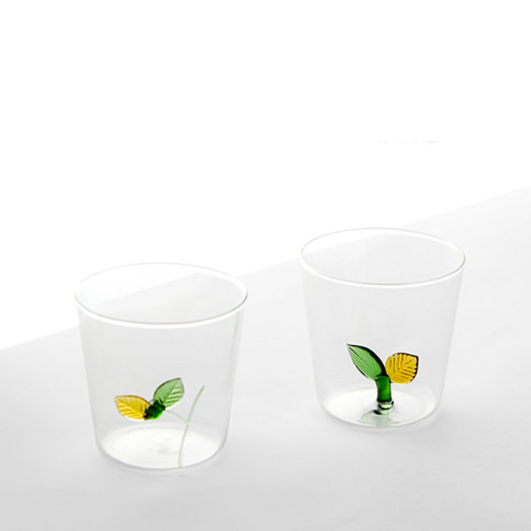 Creative Glass Square Cup from Apollo Box