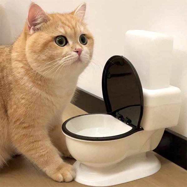 Don't flush cat feces down the toilet